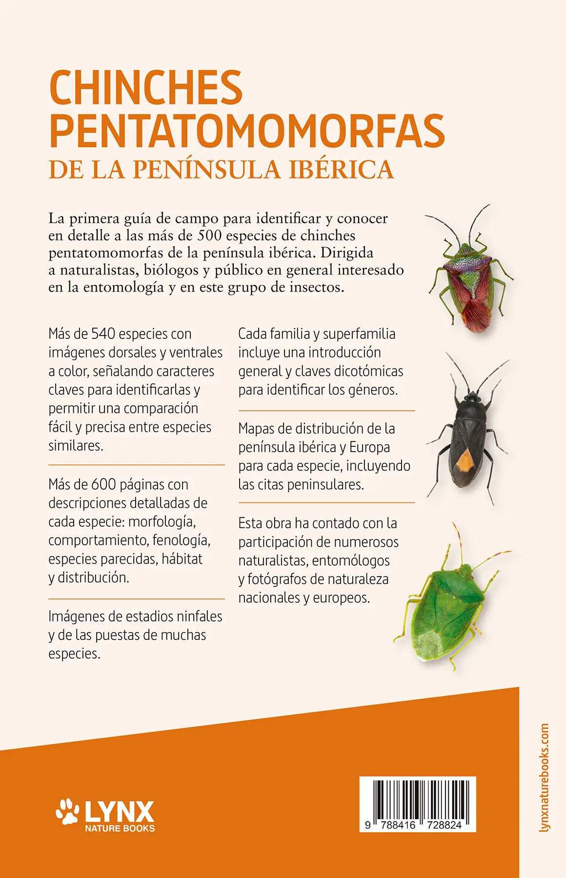 Chinches pentatomomorfas de la península ibérica - Imagen 3
