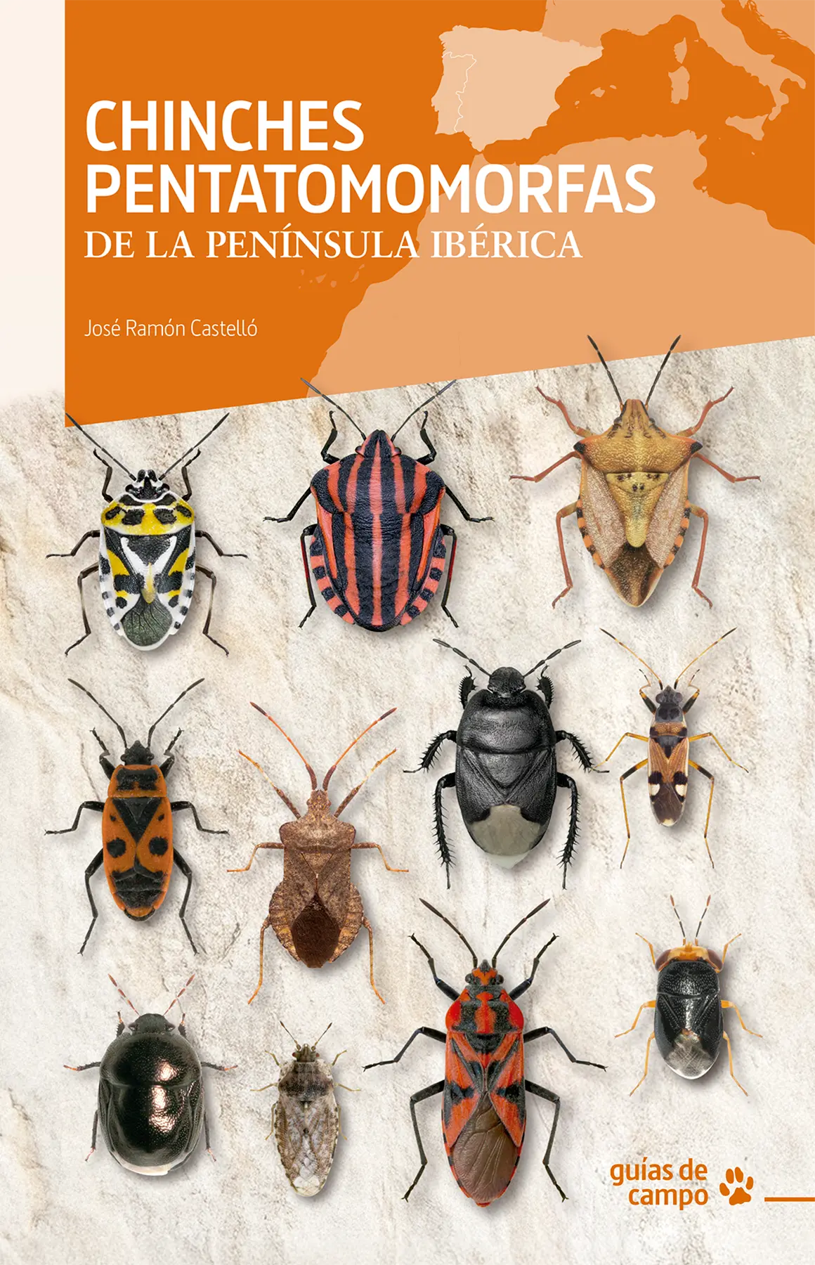 Chinches pentatomomorfas de la península ibérica - Imagen 2