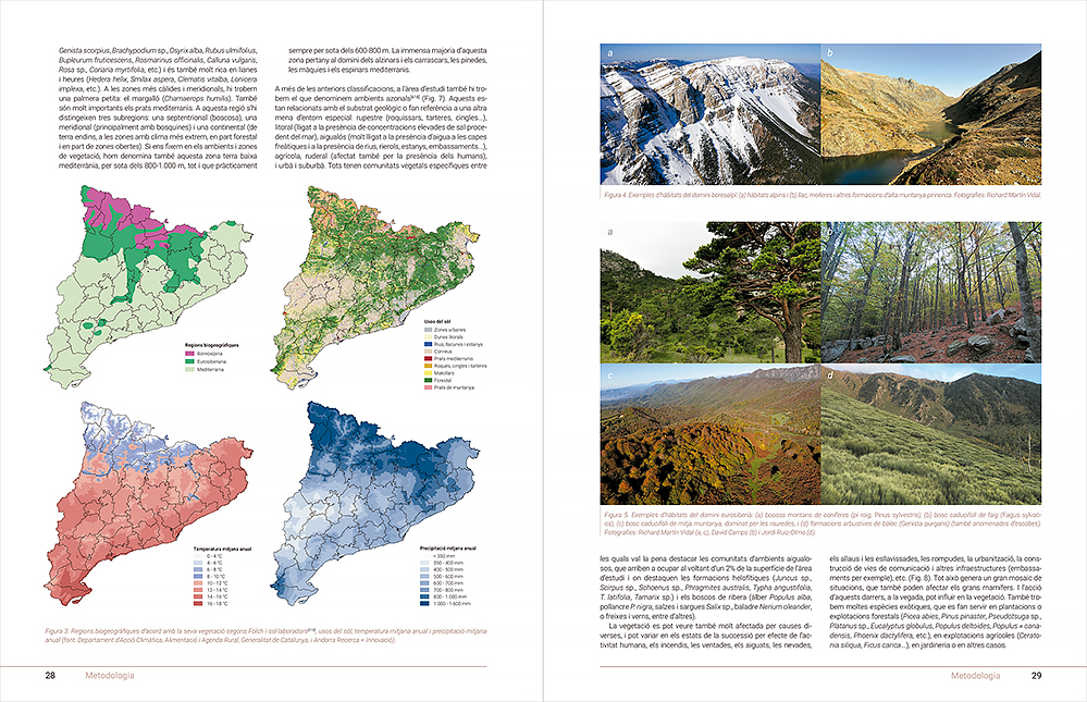Grans mamífers de Catalunya i Andorra - Imagen 2