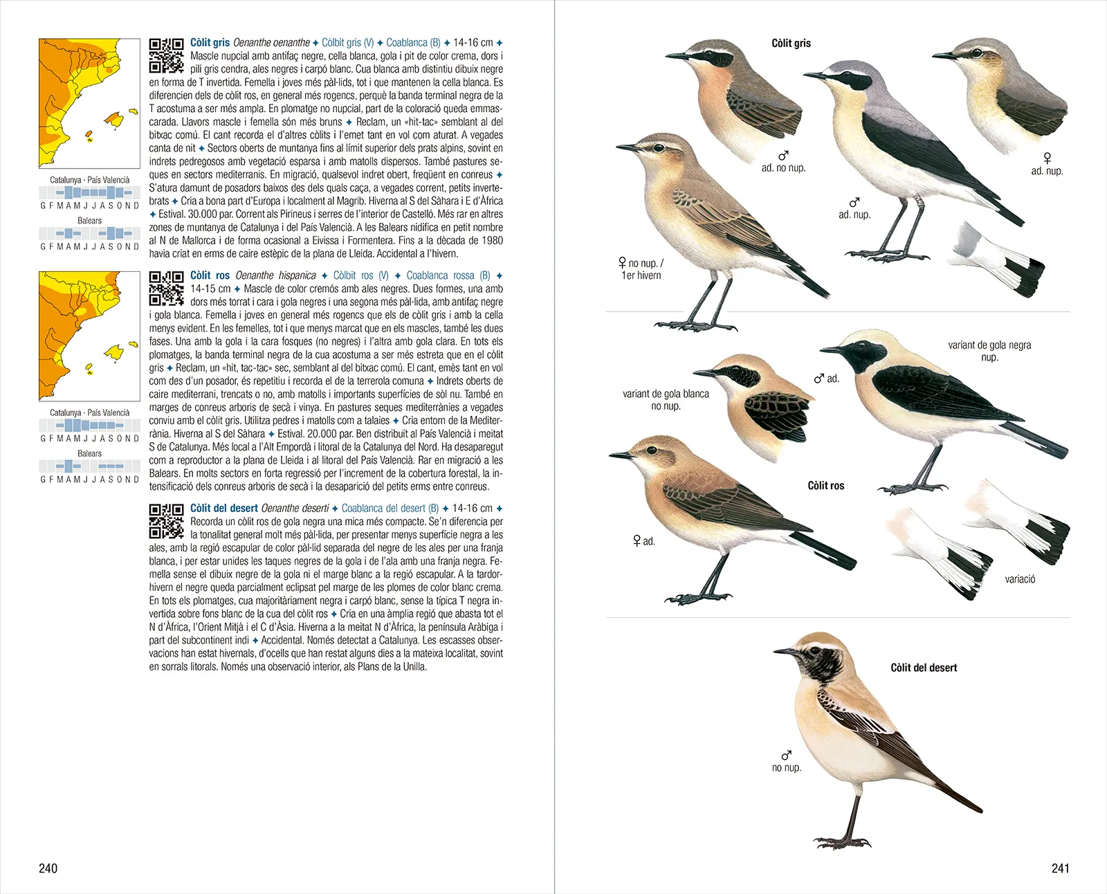 Ocells de Catalunya, País Valencià i Balears - 4a edició - Imagen 7